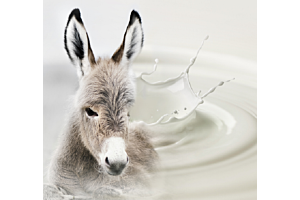 Key Benefits of Donkey Milk for Eczema and Dry Skin 